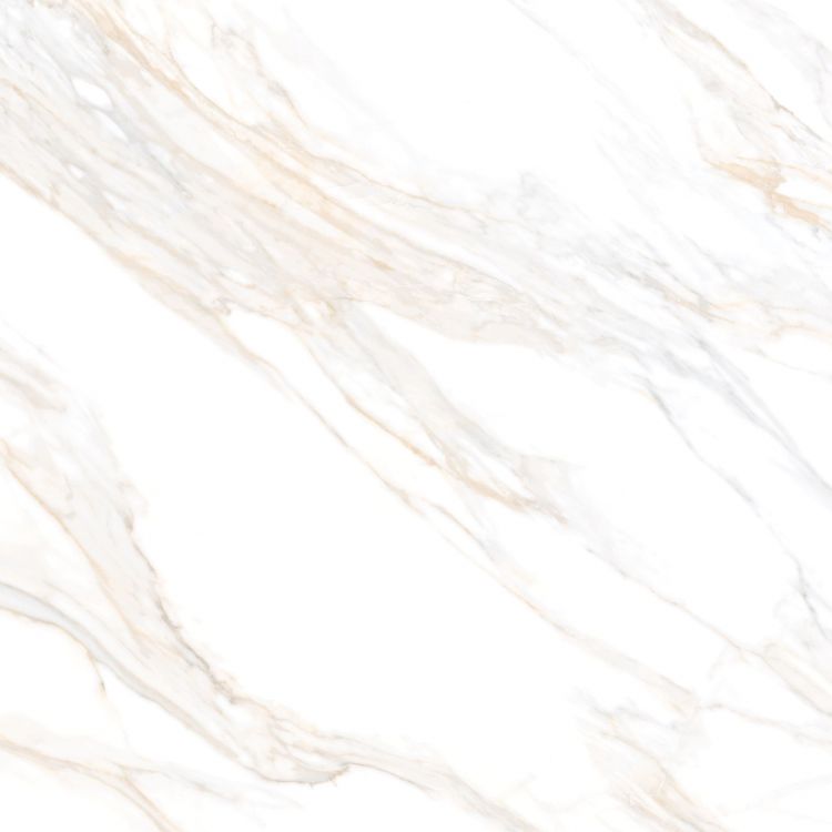 Aurum Calacatta Polished 36 x 36